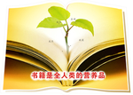 树苗的成长