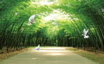 3D竹林