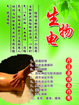 生物电
