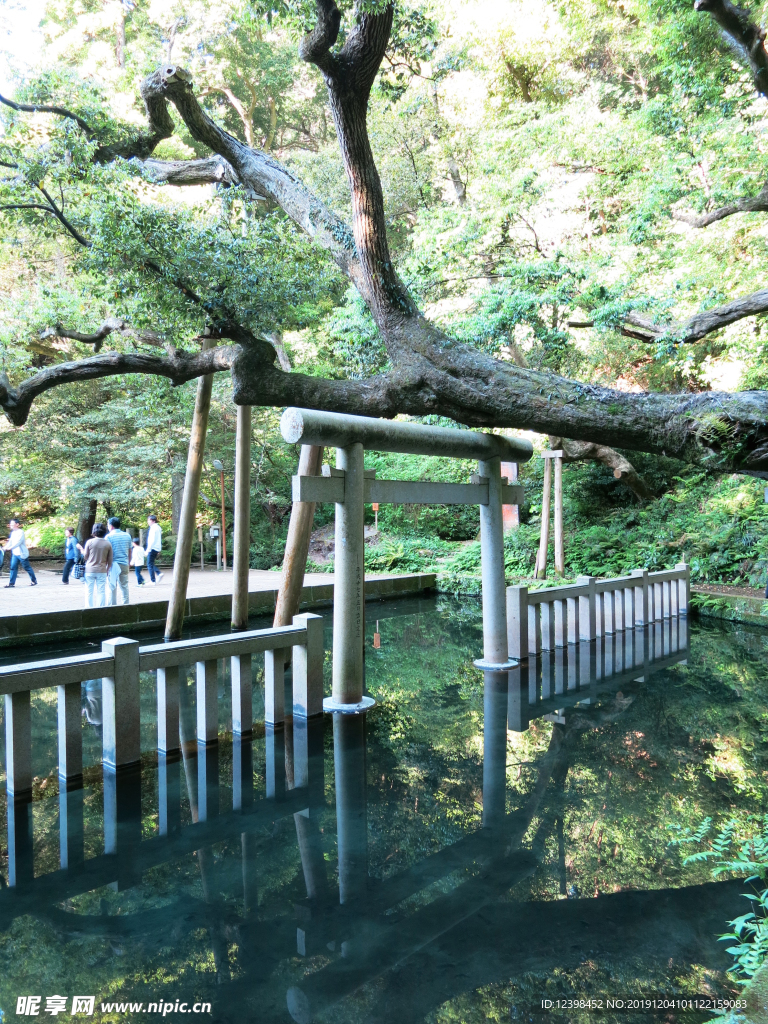 小池塘