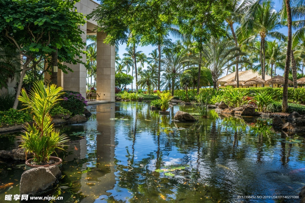 游泳池