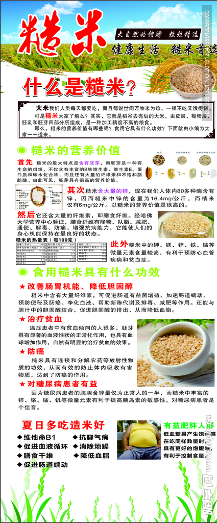 展架   糙米  介绍