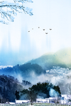冬天背景
