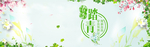 小清新植物背景