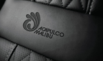 logo样机