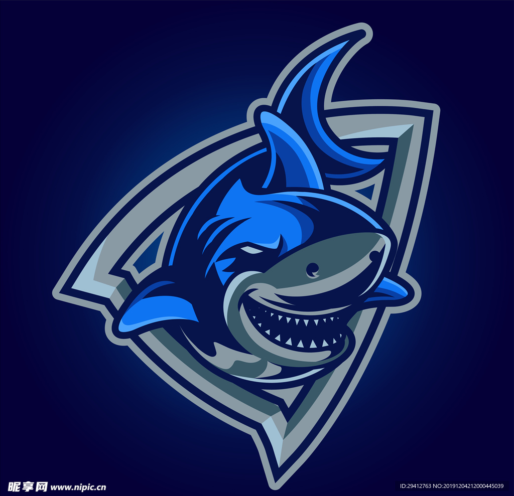 鲨鱼插画