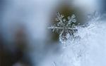 冬季雪花结晶下雪