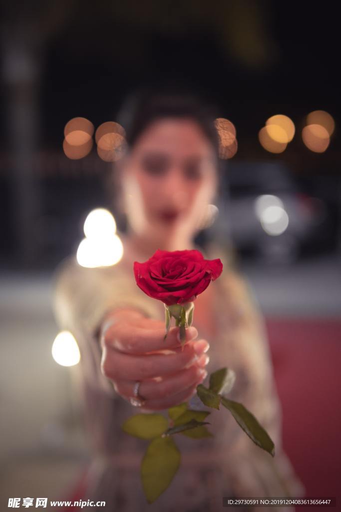 感恩节情人节送玫瑰花图片
