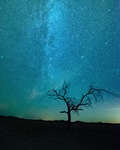 星河