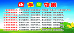 小学生守则