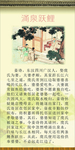 涌泉跃鲤