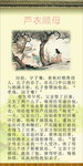 芦衣顺母