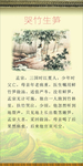 哭竹生笋