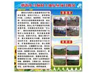 美丽乡村版面