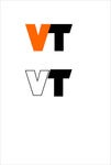 V标志