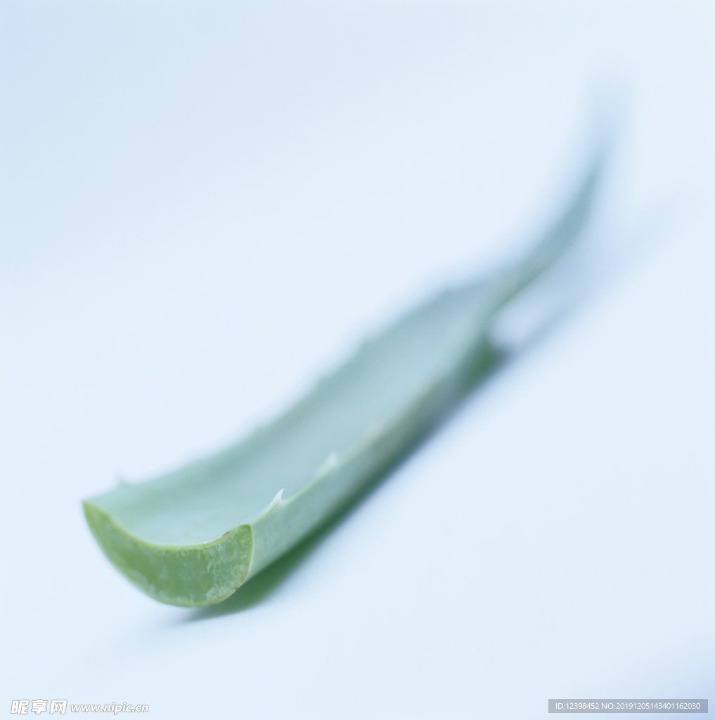 芹菜