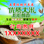 优质大米