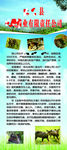 企业展架
