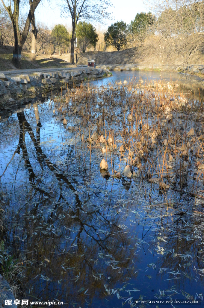 冬日风景