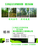 园林名片