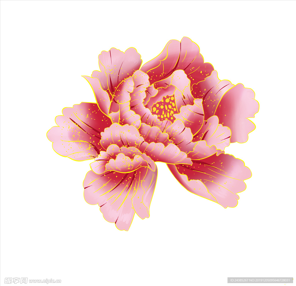 牡丹花
