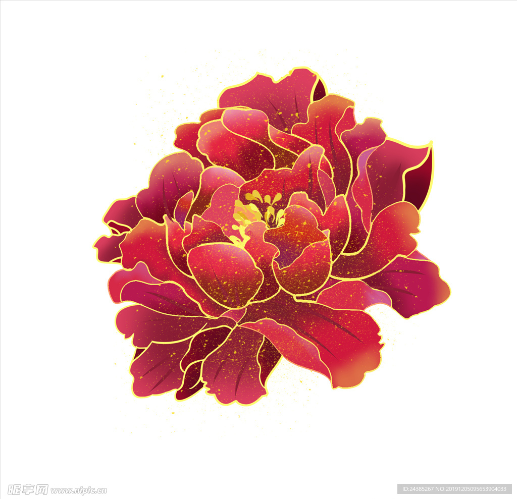 牡丹花