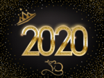 2020金字