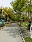 街景