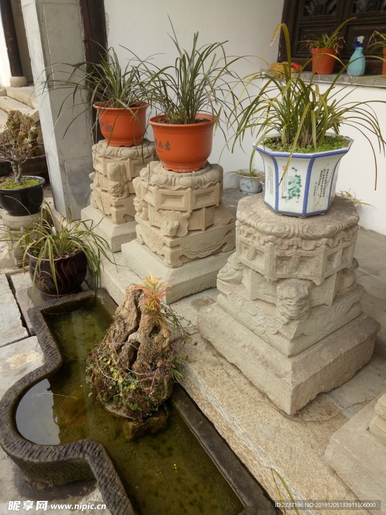 花盆
