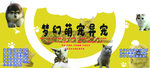 宠物展板