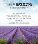 薰衣草