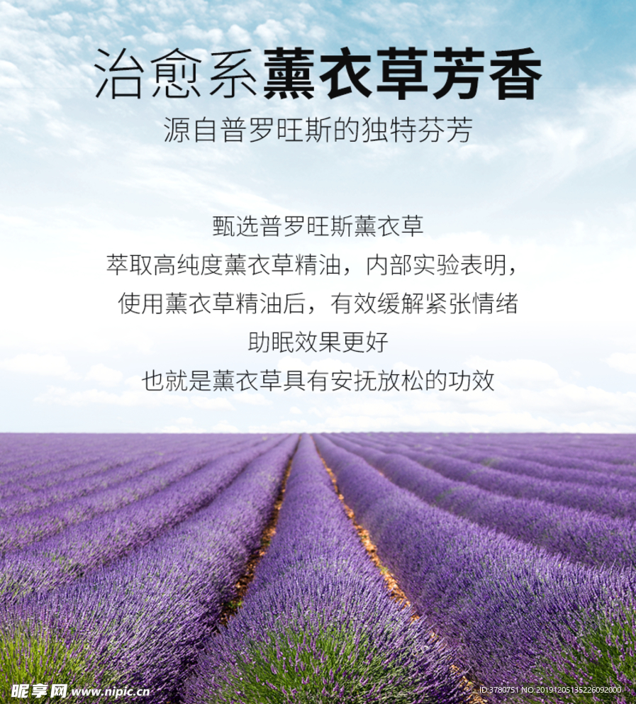 薰衣草