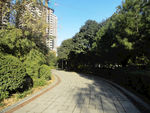 公园