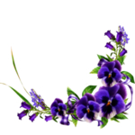 鲜花边框