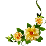 鲜花边框