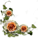 鲜花边框