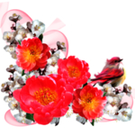 鲜花边框