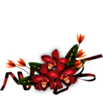 鲜花边框