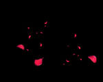 玫瑰花瓣