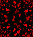 花瓣