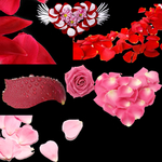 玫瑰花