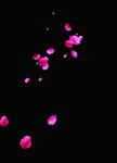 花瓣