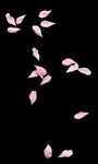 花瓣
