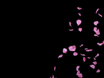 花瓣