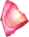花叶