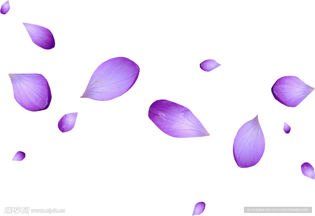 紫色花瓣