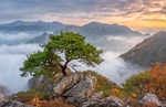 群山 天空 云彩 大树 风景