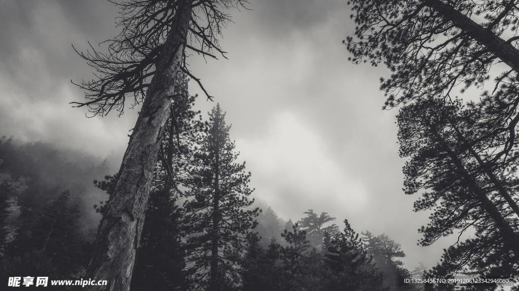 群山 森林 树木 风景 天空