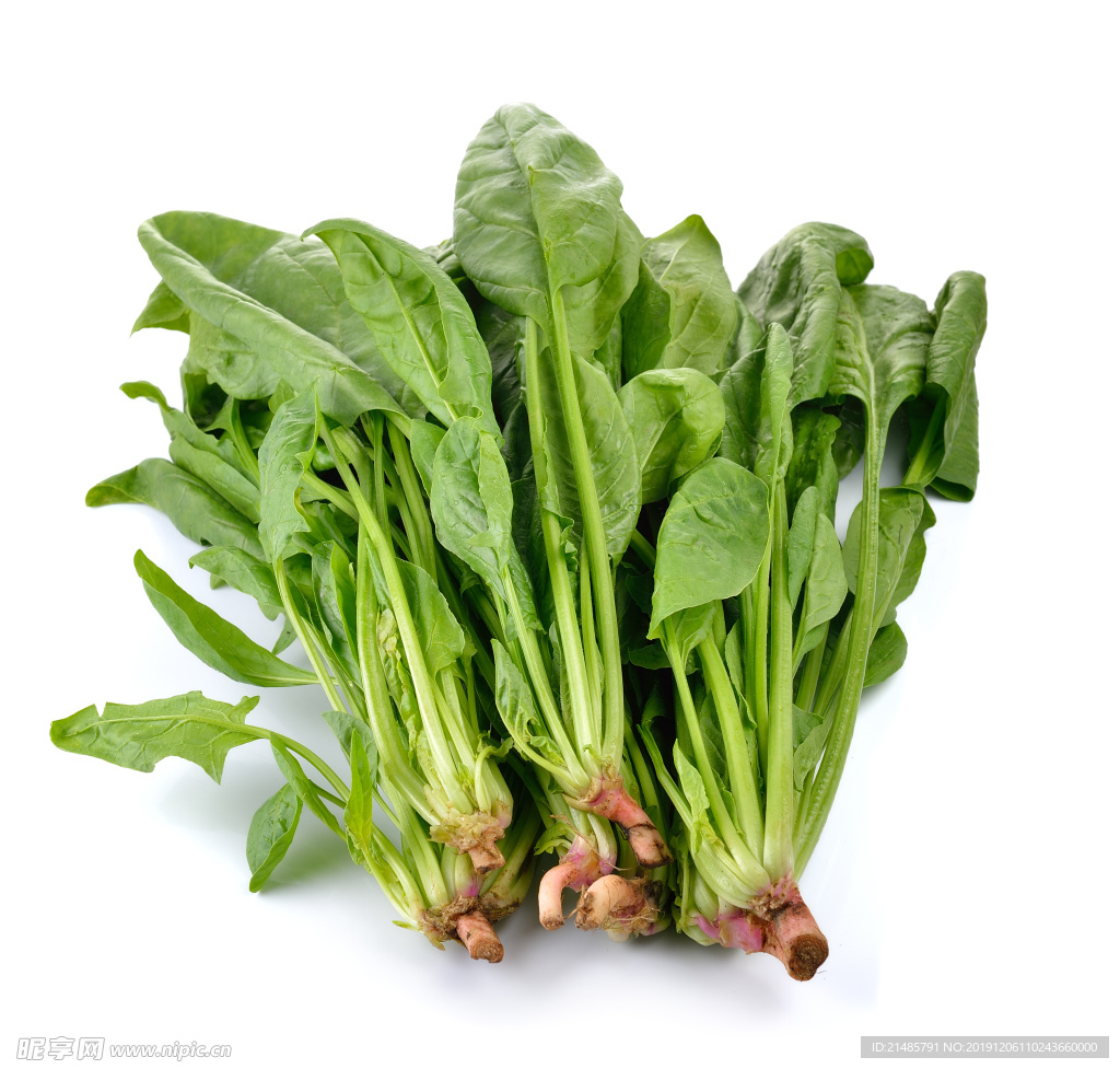 波菜