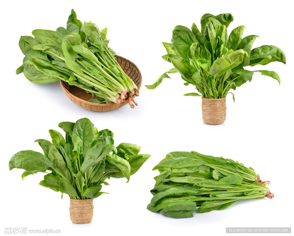 波菜